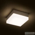 Rendl SPECTACLE felületre szerelhető ezüstszürke 230V LED 5W IP54 3000K R11968