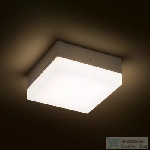 Rendl SPECTACLE felületre szerelhető ezüstszürke 230V LED 5W IP54 3000K R11968