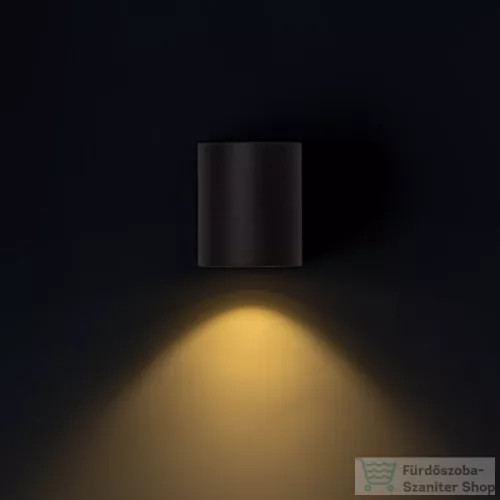 Rendl ZACK I antracitszürke 230V LED 3W 58° IP54 3000K R12027