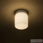 Rendl ESICA CYL mennyezeti lámpa króm 230V LED 6W IP44 3000K R12199