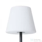 Rendl BOSANOVA 120 állólámpa antracitszürke szatén PE 230V E27 25W IP65 R12420