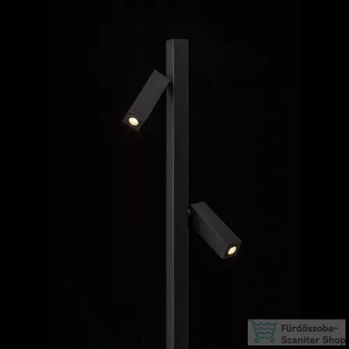 Rendl FADO állólámpa fekete  230V LED 2x3W 45°  3000K R12475