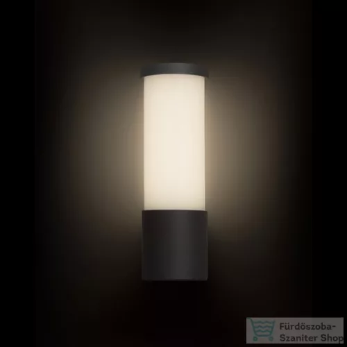Rendl GARRET fali lámpa antracitszürke 230V LED 15W IP65 3000K R12548