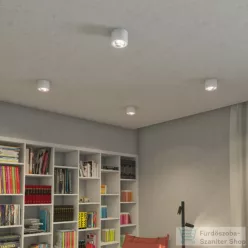   Rendl KELLY LED DIMM mennyezeti lámpa fehér 230V LED 15W 45° 3000K R12633