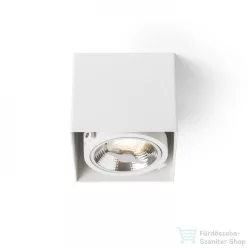   Rendl JAMES I DIMM mennyezeti lámpa matt fehér 230V LED 15W 24° 3000K R13361