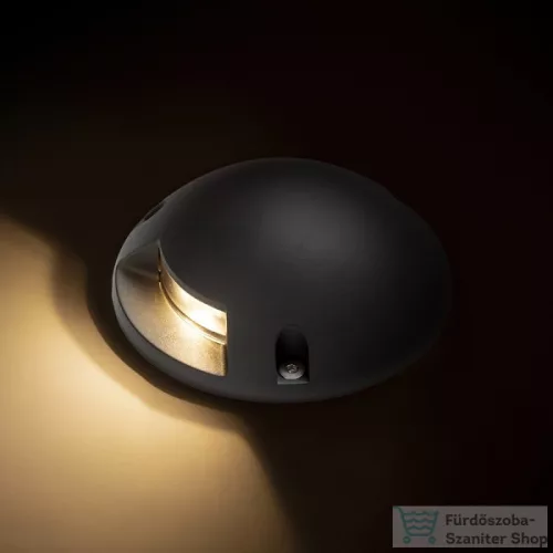Rendl TOPTOP S I antracitszürke 230V LED 1.5W IP67 3000K R13617