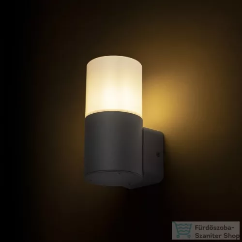 Rendl BONNIE fali lámpa antracitszürke 230V E27 28W IP44 R13635