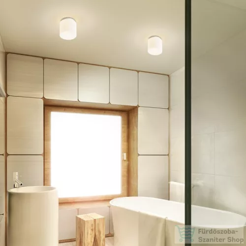 Rendl ARANA R 17 mennyezeti lámpa opál üveg/króm 230V E27 15W IP44 R13682