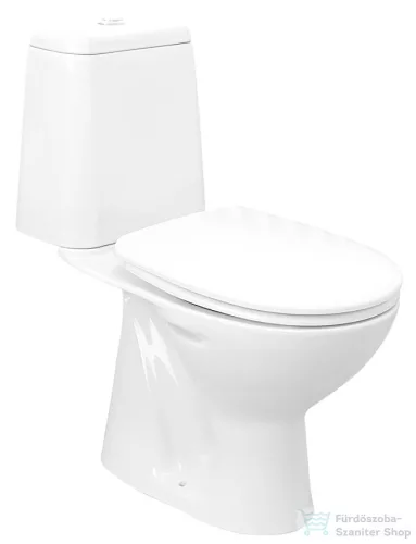 AQUALINE RIGA monoblokkos WC, alsó kifolyású, króm duál gombos öblítőmechanika RG801