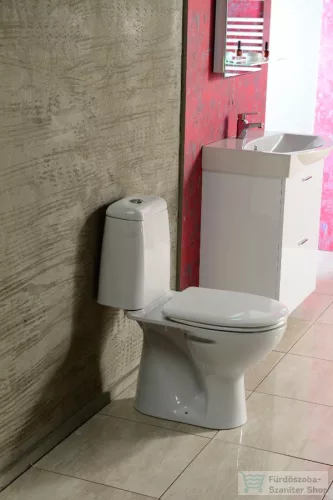 AQUALINE RIGA monoblokkos WC, alsó kifolyású, króm duál gombos öblítőmechanika RG801