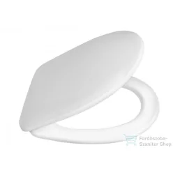 AQUALINE RIGA WC-ülőke, duroplaszt, ABS zsanérok RG901