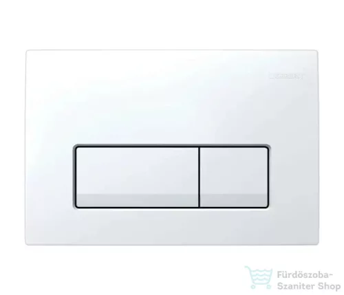 Geberit Duofix Basic falra szerelhető WC szett, Kielle OUDEE Vortex rimless+ WC softclose ülőkével, Geberit Delta 50 alpesi fehér nyomólappal, fehér SANI11CA31125