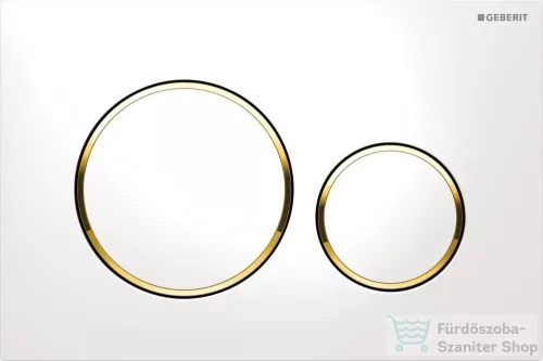 Geberit Duofix falra szerelhető WC szett, Kielle OUDEE Vortex rimless+ WC softclose ülőkével, Geberit Sigma 20 fehér/arany színű nyomólappal, fehér SANI11CA31132