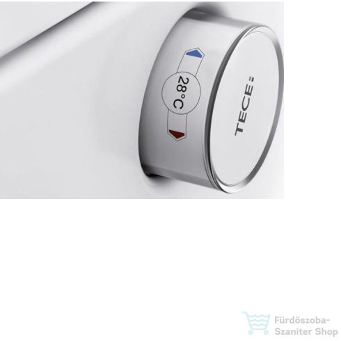 Geberit Duofix falra szerelhető WC szett, Tece Teceone bidés WC soft close ülőkével, Sigma 30 fehér/króm nyomólappal SANI11CT3104