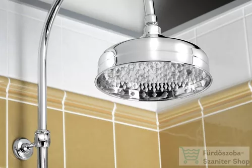 Sapho DREAMART fejzuhany, kör, 208mm, inox (SOF2000)
