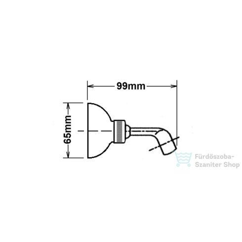 Sapho kézizuhanytartó, gömb, króm  SUP21