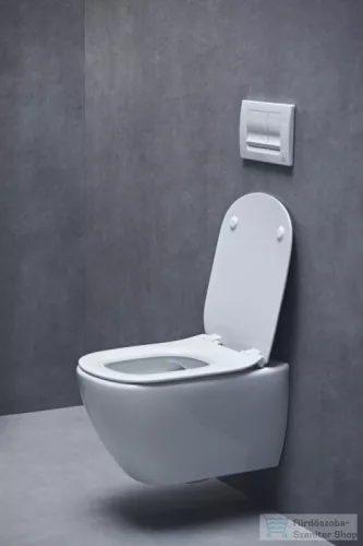 Ideal Standard TESI soft-close wc ülőke,fehér T552201