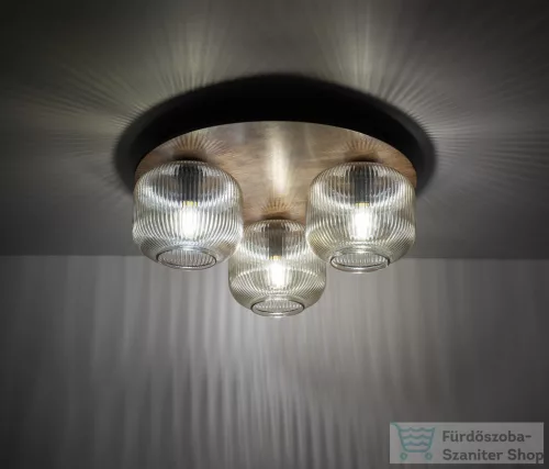 TK Lighting Salvia mennyezeti lámpa TK-11068