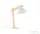 TK Lighting Oslo asztali lámpa TK-5347