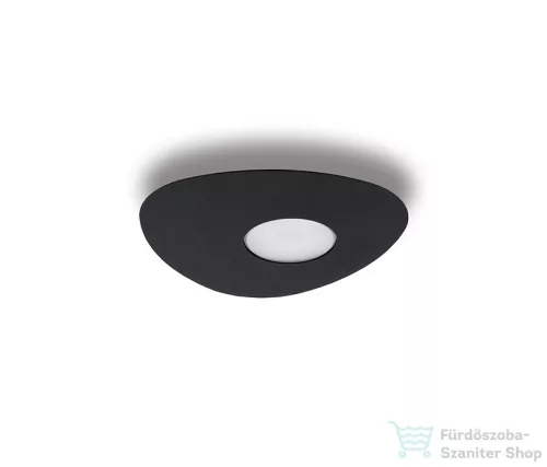 Nowodvorski Organic I mennyezeti lámpa, fekete TL-8303