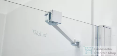 Wellis Pure nyílóajtós zuhanyajtó 90 easy clean bevonattal WC00519