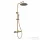 Wellis Altona zuhanyoszlop, brushed gold WZ00112