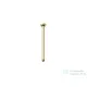 Ravak 30 cm-es mennyezeti zuhanykar, Gold brushed X07P1243