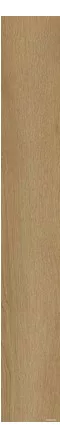 Zenon TENDENCE NUT 8x225 cm-es SPC szegőléc, ZEN0908
