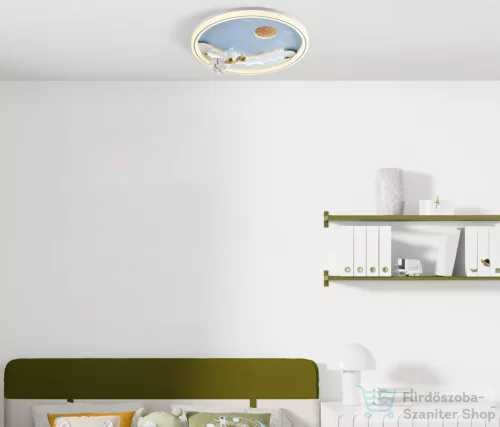 Zuma Line Focus LED mennyezeti lámpa ZU-MX4020-1-DWD